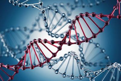 數(shù)據(jù)或成“生物炸彈”原料 跨國合作亟需筑牢生物信息安全防線